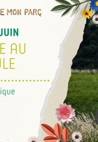 La nature au crépuscule