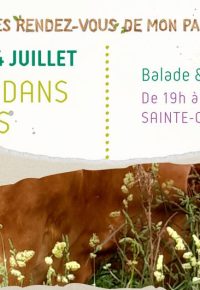 Balade dans les prés