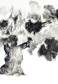 Exposition « Cheminer avec l’arbre », aquarelles de Franck ROLLIER, accompagnés des textes de Bernard FARINELLI