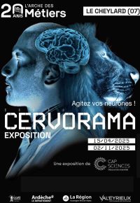 Agitez vos neurones !