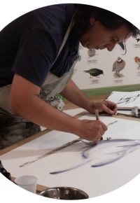 Stage d’aquarelle « Monde sauvage » avec Franck ROLLIER et Serge DI MEO.