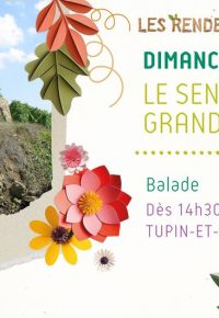 Le sentier des grand(e)s cru(e)s