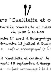 « Cueillette et Cuisine » avec Plantes Sauvages 43