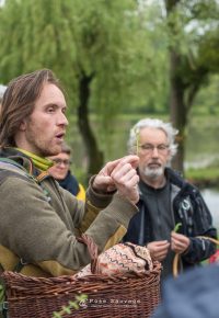 Découverte de plantes sauvages & insectes