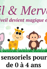 Atelier Sensoriel : Les trésors de la Savanne | Eveil & Merveille