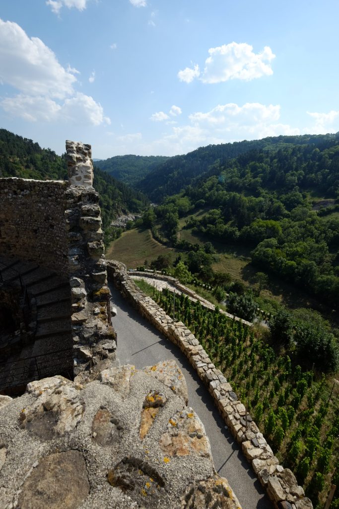 vignes du château de Belfort Goudet