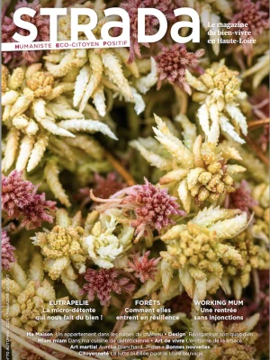 STRADA n°70  automne 2025