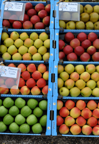 Fête de la pomme à Pélussin (42)