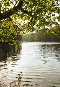 LANCEMENT D’UN CLUB NATURE CPN