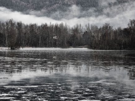 50 ans de photographie                 à guitard