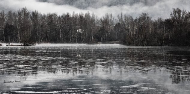 50 ans de photographie                 à guitard