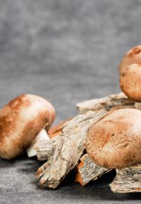foire aux champignons st bonnet le froid