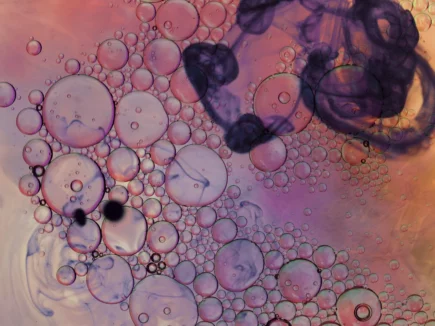 EDITO STRADA 71 : FAIRE RÉSEAU