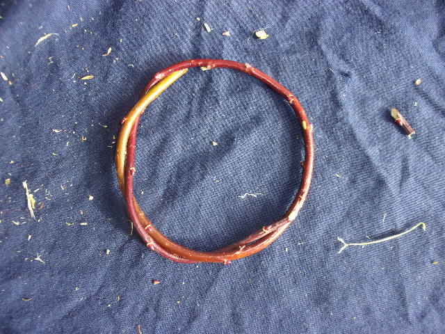 boule de noel plante