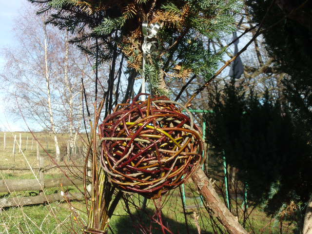 boule de noel en plante