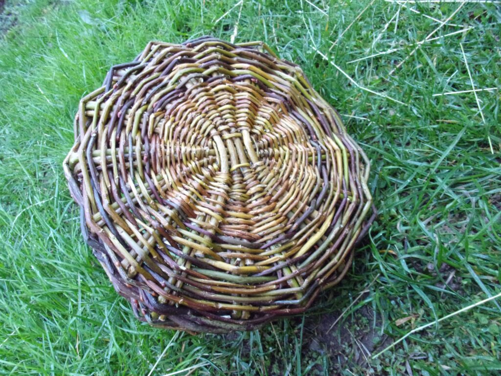 fond d'un papier vannerie différentes couleurs de saules marsault