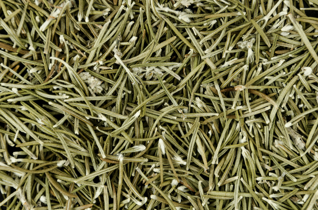 feuille d'estragon plante sauvage