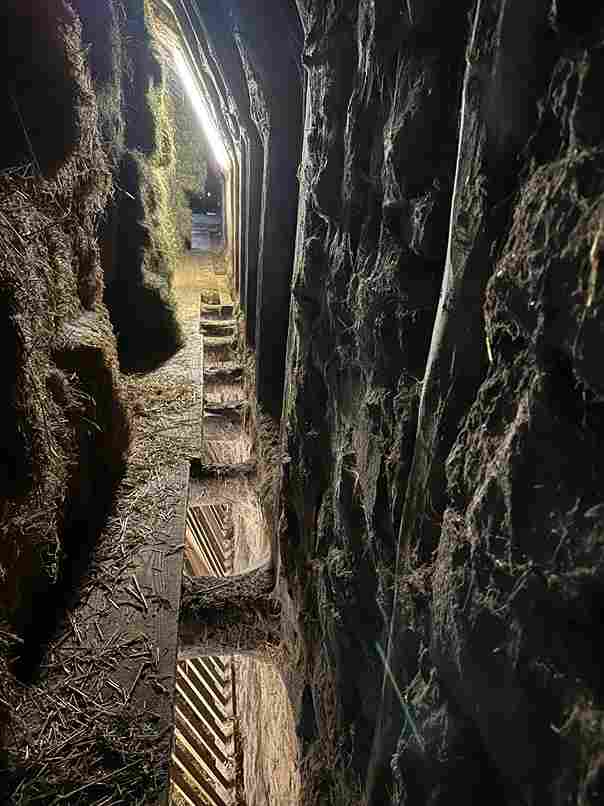 rateliers de l'etable