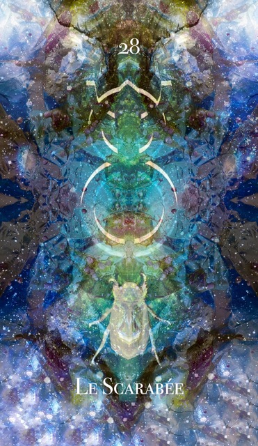 le scarabée harmoniques