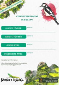 Atelier enfant : Poterie primitive