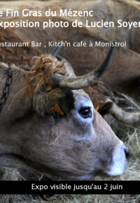 Exposition photo : Le fin gras du Mézenc