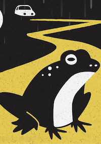 Opération Sauvetage – Etang de Tribes