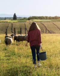 de ferme en ferme – edition 2026