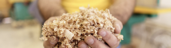 isolation avec des matériaux biosourcés