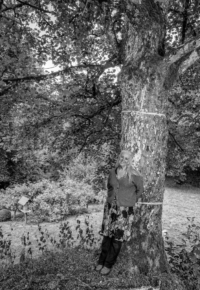 Salon du livre – Lire en Arzon « De l&rsquo;Arbre au Livre »