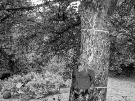 De l&rsquo;arbre au livre