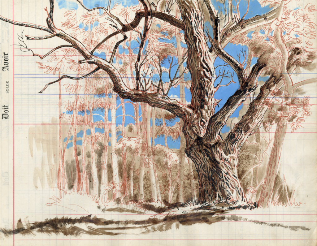 véronique béné lire en arzon