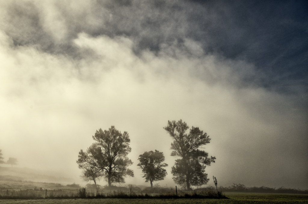 vincent joffre lire en arzon