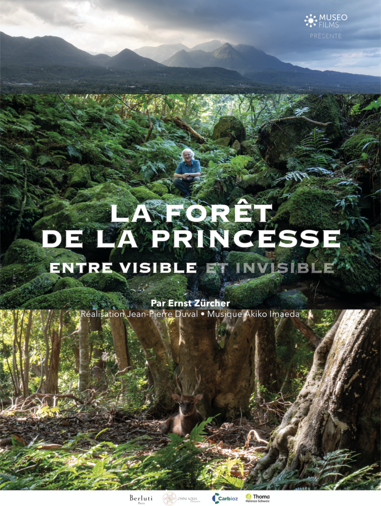 film la forêt de la princesse, entre visible et invisible