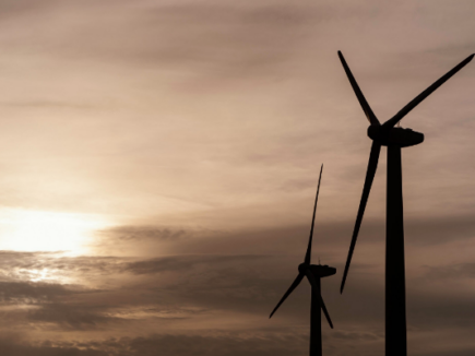 À l&rsquo;écoute des infra-sons