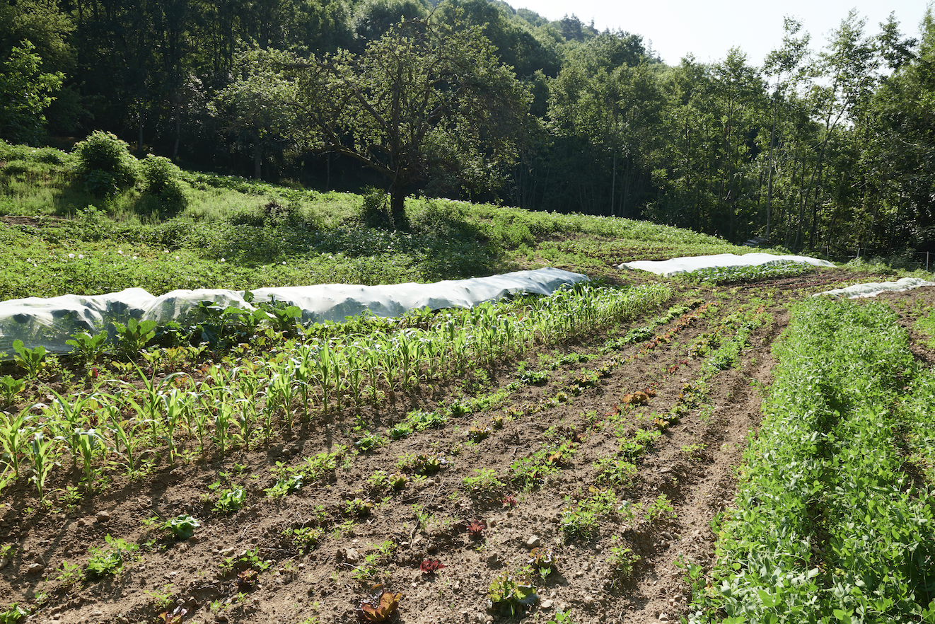 jardin de jacques marcon en haute-loire