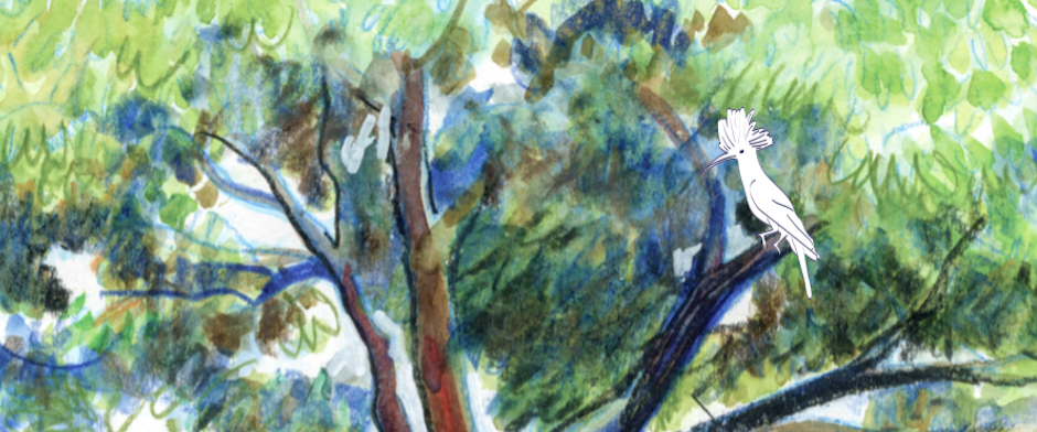 Véro Béné strada 72