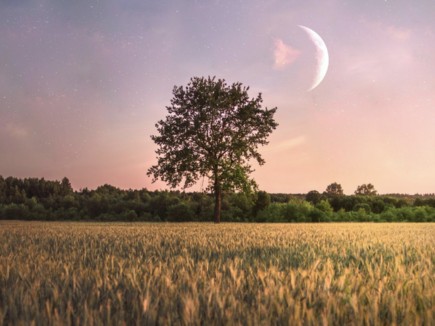 Calendrier lunaire – printemps 2026