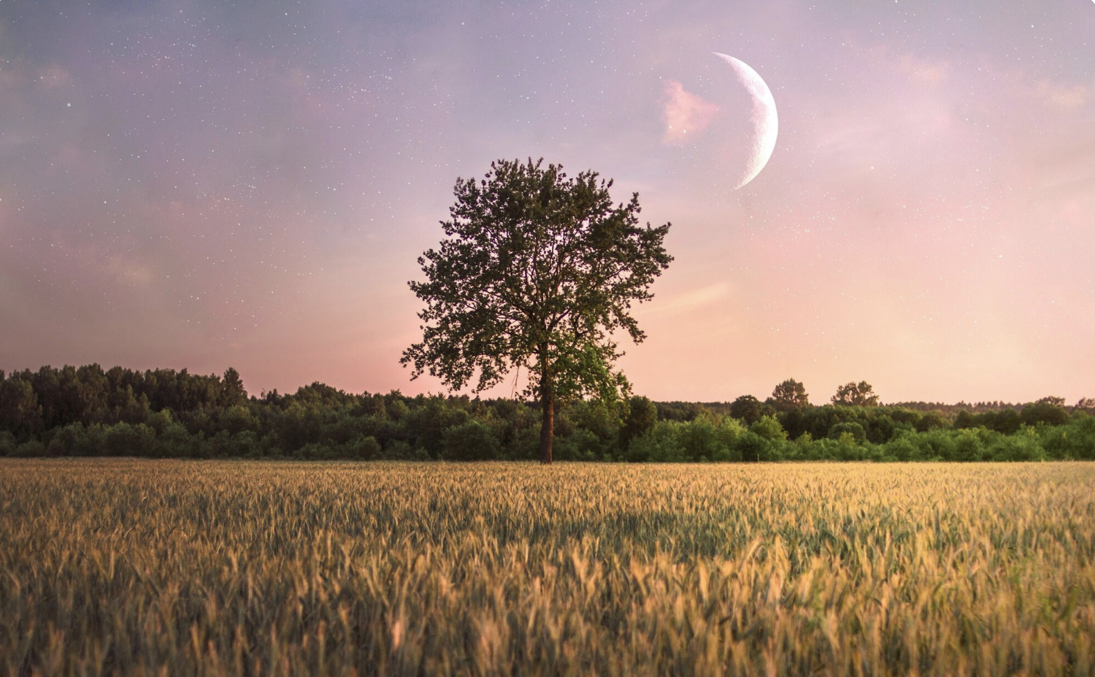 calendrier lunaire printemps 2026