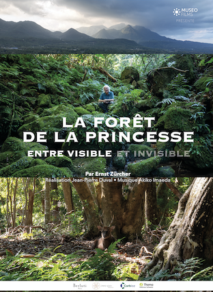 la forêt et la princesse