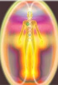 Conférence Association Feu Follet  « Voyages du cœur de l’être, vers l’Être de cœur » Bernard ELEFTERAKIS