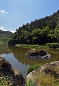 Journée « la vie en bords de Loire : faune, flore, histoire… »