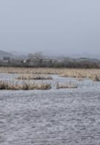 balade découverte des oiseaux au lac de Freycenet