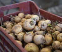 Le jardin en fête – journée porte ouverte – &lsquo;Au fil de l&rsquo;eau&rsquo;