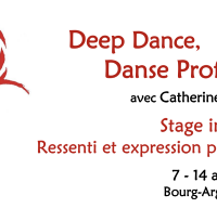 Stage intensif d&rsquo;été – danse profonde