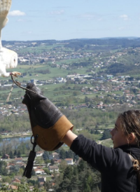 Afterwork « Balade suitée avec des rapaces » au Château de Rochebaron
