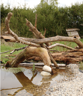 Une mare dans mon jardin