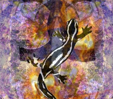 horoscope des harmoniques été 2026