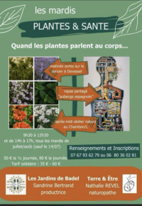 Les mardis PLANTES ET SANTE