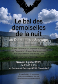 LE BAL DES DEMOISELLES DE LA NUIT